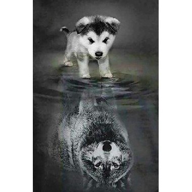 Diamantové malování - Pes a vlk v odrazu 40 x 50 cm (s rámem) - neuveden, neuveden