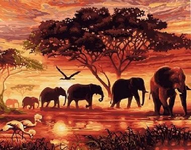 Malování podle čísel - Sloni v západu slunce 40 x 50 cm (bez rámu) - neuveden, neuveden