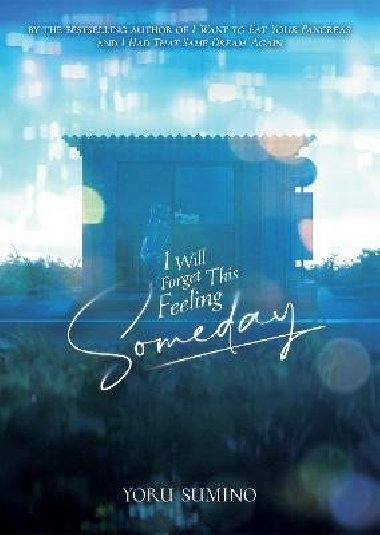 I Will Forget This Feeling Someday (Light Novel) - Sumino Yoru