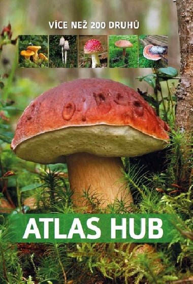 Atlas hub - vce ne 200 druh - Patrycja Zarawska