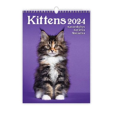 Kalend nstnn 2024 - Kittens - Helma