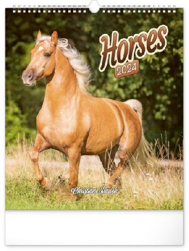 Koně 2024 - nástěnný kalendář - Presco