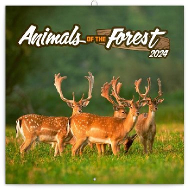 Zvířátka z lesa 2024 - nástěnný kalendář - Presco