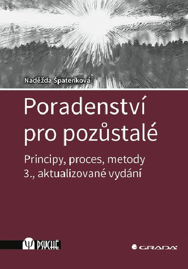 Poradenstv pro pozstal - Principy, proces, metody - Nadda patenkov