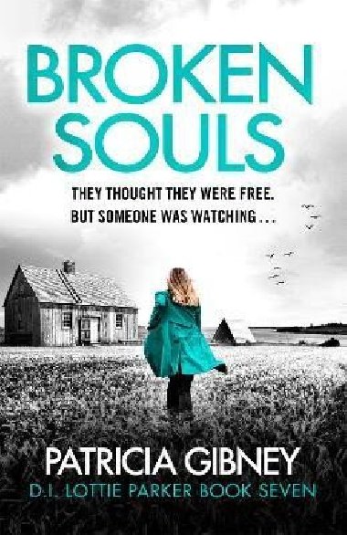 Broken Souls: An absolutely addictive mystery thriller with a brilliant twist - Gibneyov Patricia