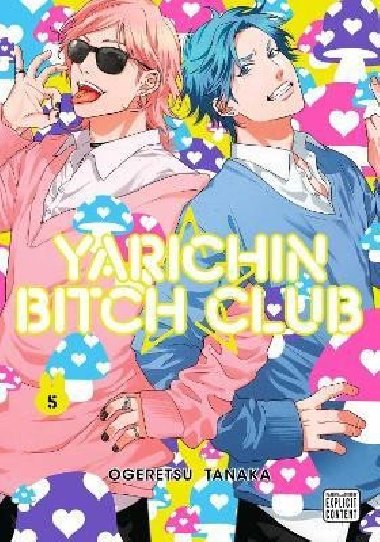 Yarichin Bitch Club, Vol. 5 - Tanaka Ogeretsu