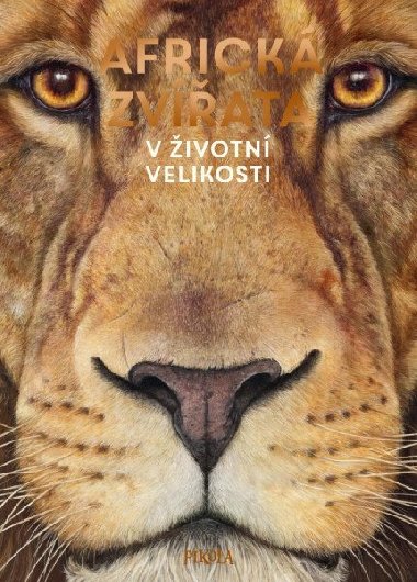 Africká zvířata: V životní velikosti - Holgen Haag