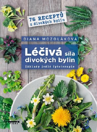 Liv sla divokch bylin - Zklady jedl fytoterapie, 76 recept z divokch bylin - Diana Mozolkov
