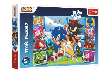 Puzzle Sonic Seznamte se s ježkem 100 dílků - Trefl