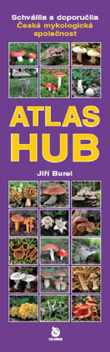 Atlas hub - Ji Burel
