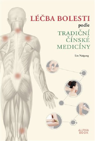 Léčba bolesti podle tradiční čínské medicíny - Liu Naigang