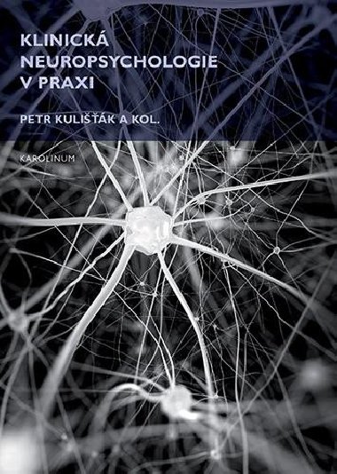 Klinick neuropsychologie v praxi - Petr Kulik,kol.