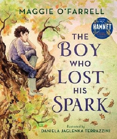 The Boy Who Lost His Spark - O´Farrellová Maggie