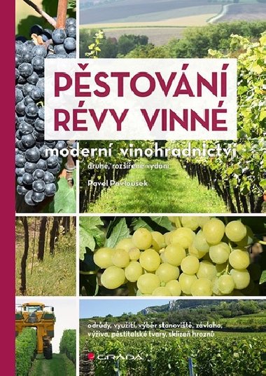 Pstovn rvy vinn - Modern vinohradnictv - Pavel Pavlouek