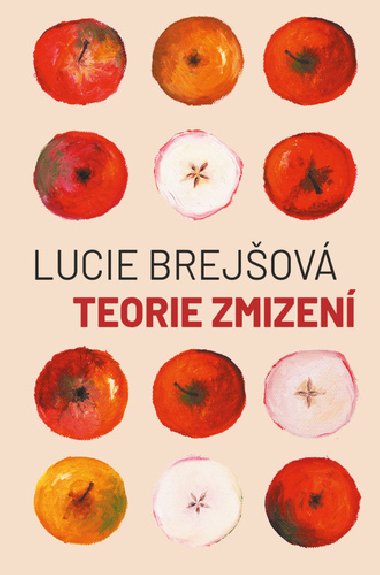 Teorie zmizen - Lucie Brejov