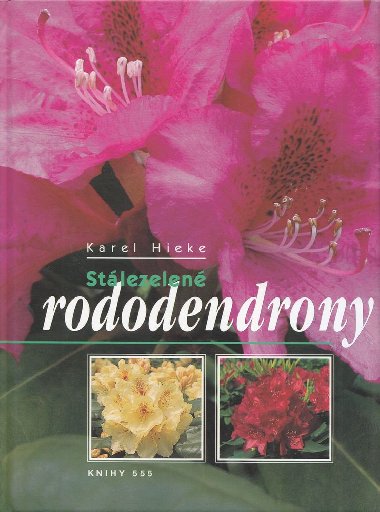 Stlezelen rododendrony - Karel Hieke