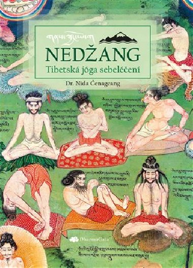 Nedžang - Tibetská jóga sebeléčení - Nida Čenagcang