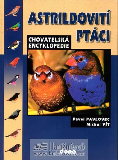 ASTRILDOVIT PTCI - Pavel Pavlovec; Michal Vt