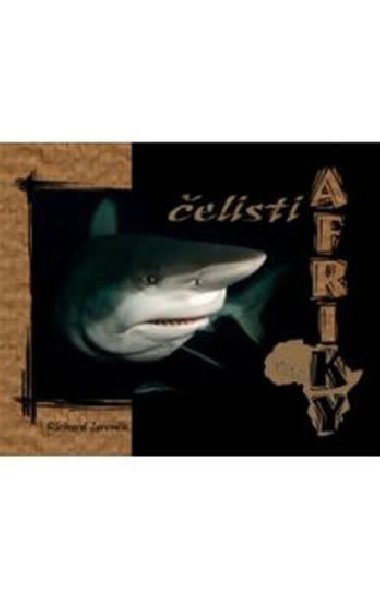 ELISTI AFRIKY + DVD - Richard Jaronk