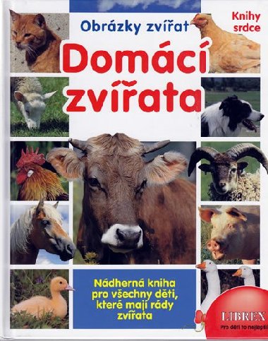 DOMC ZVATA - 