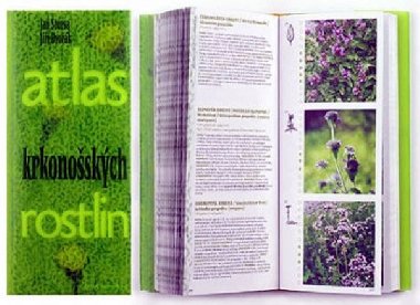 Atlas krkonoskch rostlin - Jan tursa, Ji Dvok