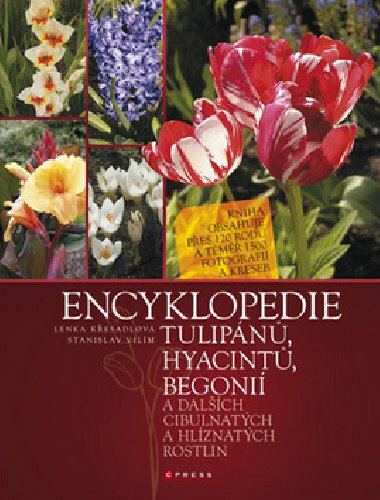 Encyklopedie tulipn, hyacint, begoni - Stanislav Vilm; Lenka Kesadlov