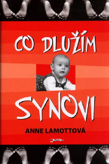 CO DLUM SYNOVI - Anne Lamottov
