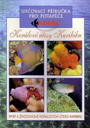 Korlov tesy v karibiku - Urovac pruka pro potape - Ryby a ivoichov korlovch tes Karibiku - Elizabeth a Lawson Woodovi