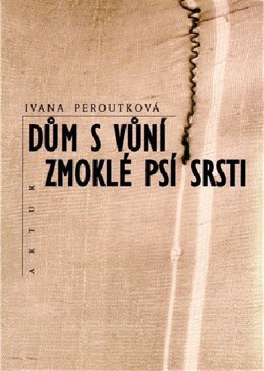DM S VN ZMOKL PS SRSTI - Ivana Peroutkov