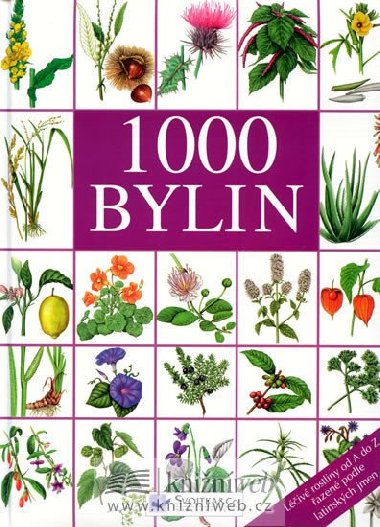 1000 BYLIN - 