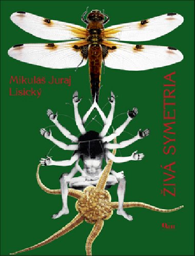 IV SYMETRIA - Mikul J. Lisick