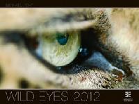 WILD EYES 2012 - NSTNN KALEND - 