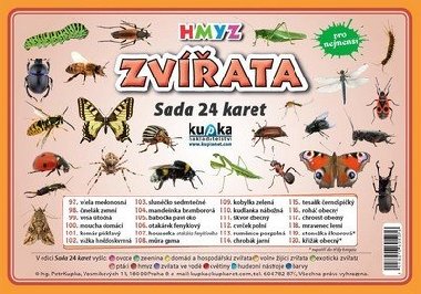 ZVATA HMYZ - SADA 24 KARET - Kupka Petr a kolektiv