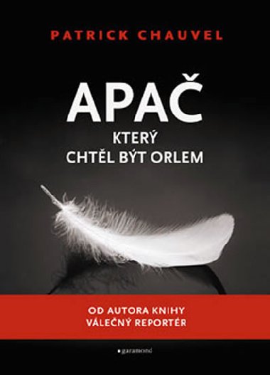 APA, KTER CHTL BT ORLEM - Patrick Chauvel