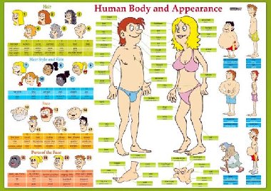 Karta Human Body and Appearance - Computer Media