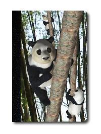 Zpisnk - ھaska - plhajc pandy - neuveden