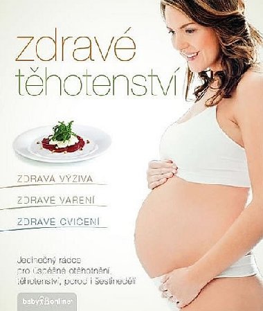 Zdravé těhotenství - Jana Eliášová; Kamila Vorlová