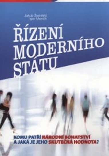 Řízení moderního státu - Igor Mandík; Jakub Šteinfeld