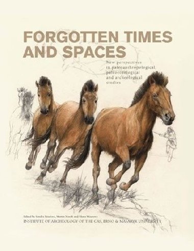 Forgotten times and spaces - Sandra Sázelová; Martin Novák; Alena Mizerová