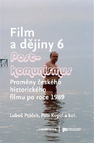 Film a dějiny VI. - Luboš Ptáček,Petr Kopal,kol.