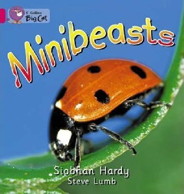 Minibeasts : Band 01a/Pink a - Hardy Siobhan