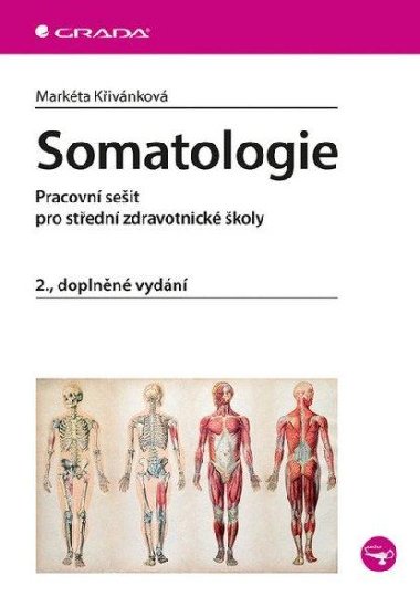 Somatologie - Markéta Křivánková