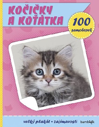 Kočičky a koťátka - Plakát a 100 samolepek - Grada
