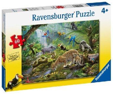 Ravensburger Puzzle - Obdivovatelé deštného pralesa 60 dílků - neuveden
