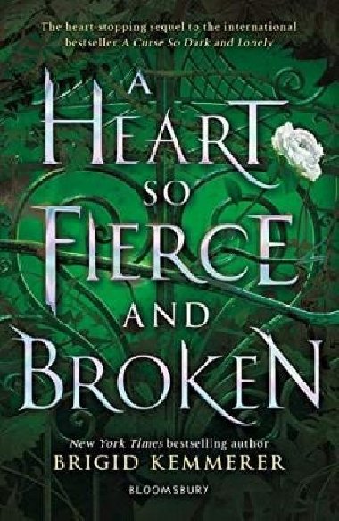 Courseberakers book 2 A Heart So Fierce and Broken - Brigid Kemmererová