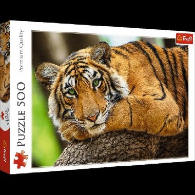 Puzzle Tygří portrét, 500 dílků - neuveden