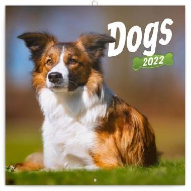 Kalendář 2022 poznámkový: Psi, 30 × 30 cm - neuveden