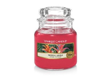 YANKEE CANDLE Tropical Jungle svíčka 104g - neuveden