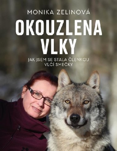Okouzlena vlky - Jak jsem se stala členkou vlčí smečky - Monika Zelinová