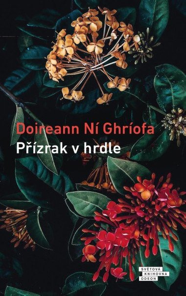 Přízrak v hrdle - Ní Ghríofa Doireann